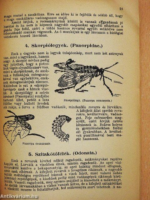 Kert- és mezőgazdaság hasznos állatai