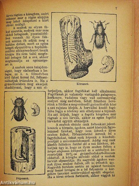 Gyümölcsfák rovarkártevői