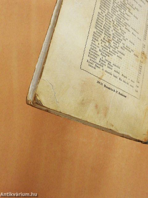 Mackó úr második utazása