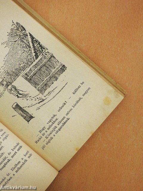 Mackó úr második utazása