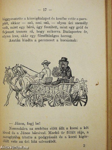 Mackó úr második utazása