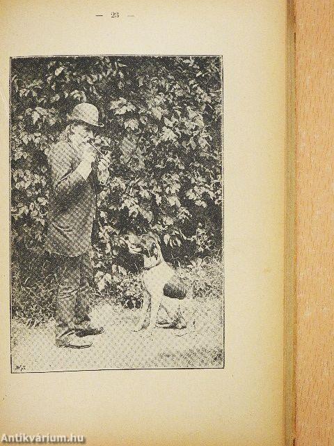 Seregély kisasszony emlékiratai