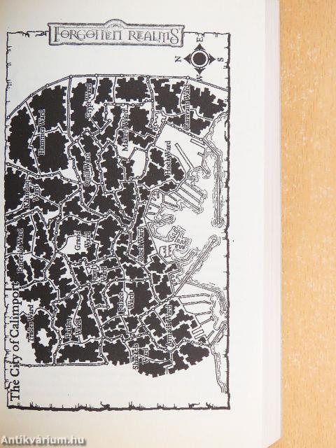 A szilánk szolgája