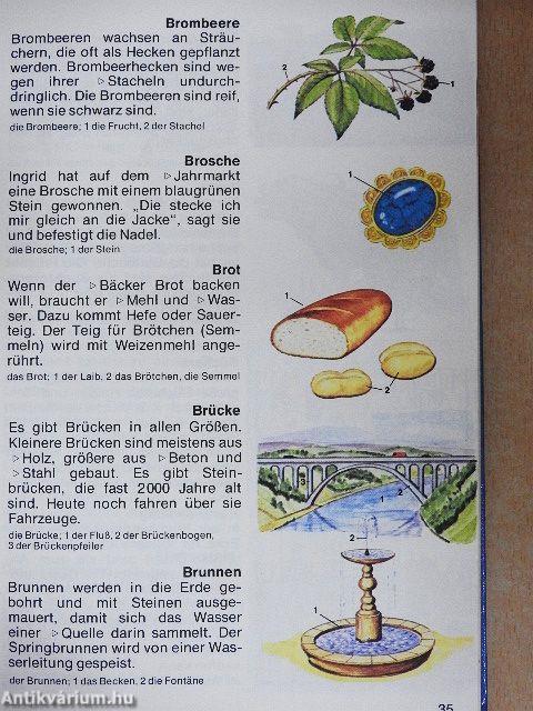 Meyers Kinderlexikon