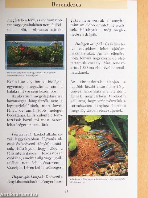 Az akvárium egy elbűvölő vizivilág lakásunkban