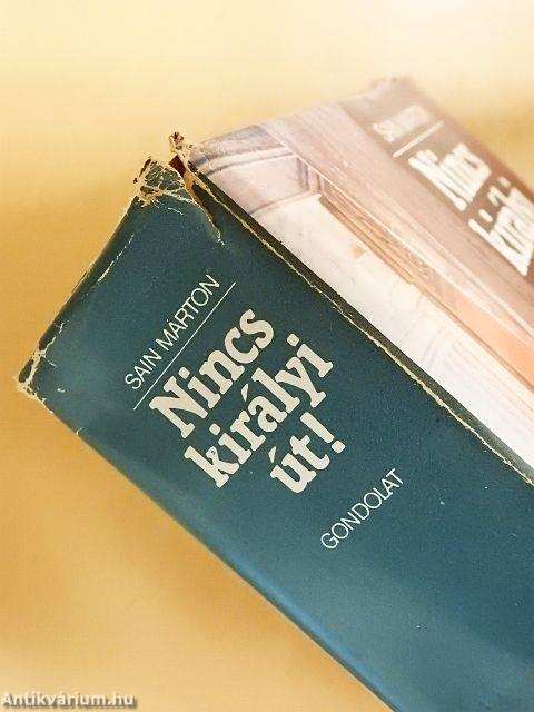 Nincs királyi út!