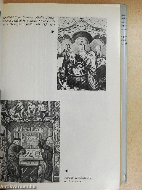 Ásványvizek és gyógyvizek