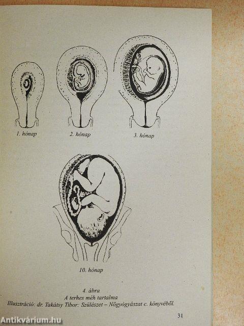 Lányoknak, fiúknak - egymásról