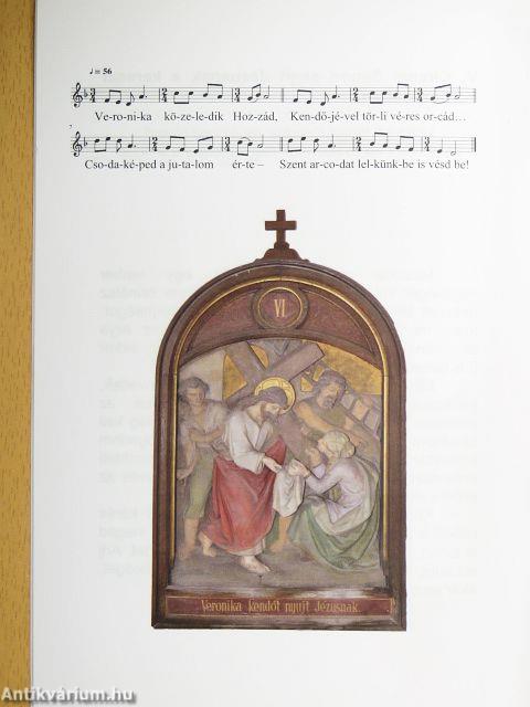 A lelkileg, testileg beteg ember keresztútja