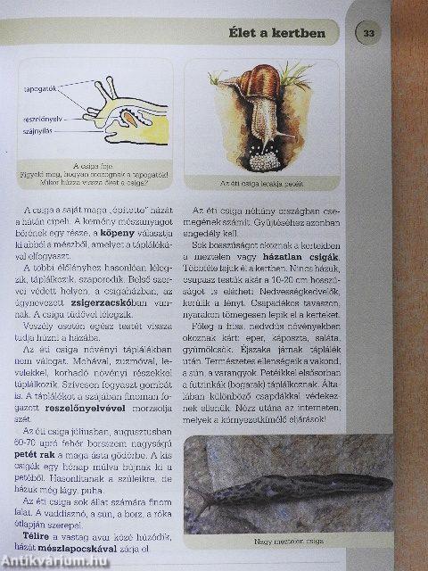 Természetismeret 5.