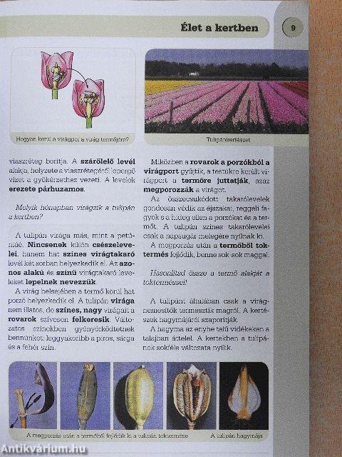 Természetismeret 5.