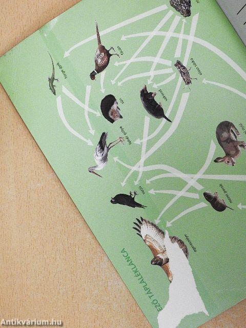 Természetismeret 5.