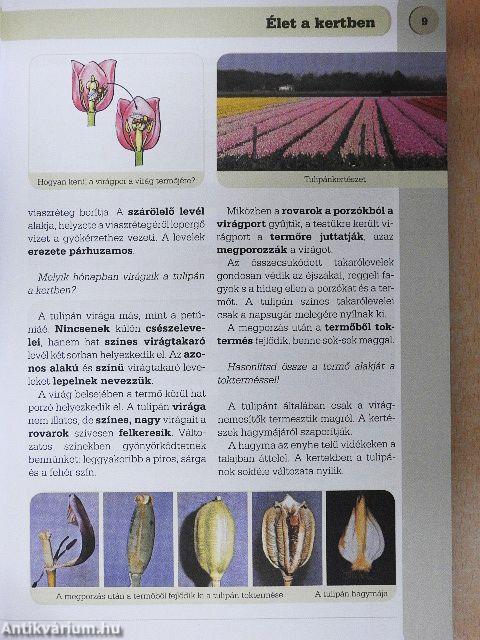 Természetismeret 5.