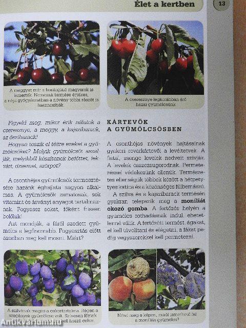 Természetismeret 5.