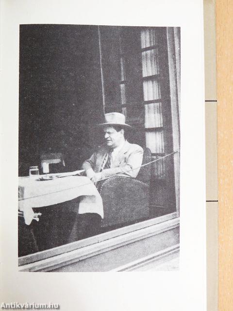 Mennyei Riport/Utazás a koponyám körül