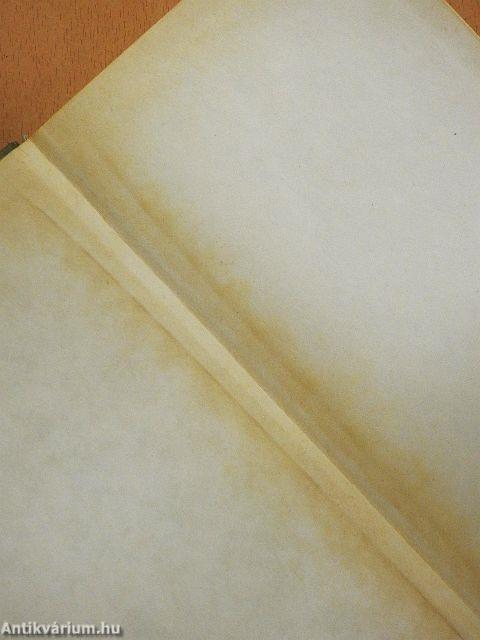 Két regény az első szerelemről