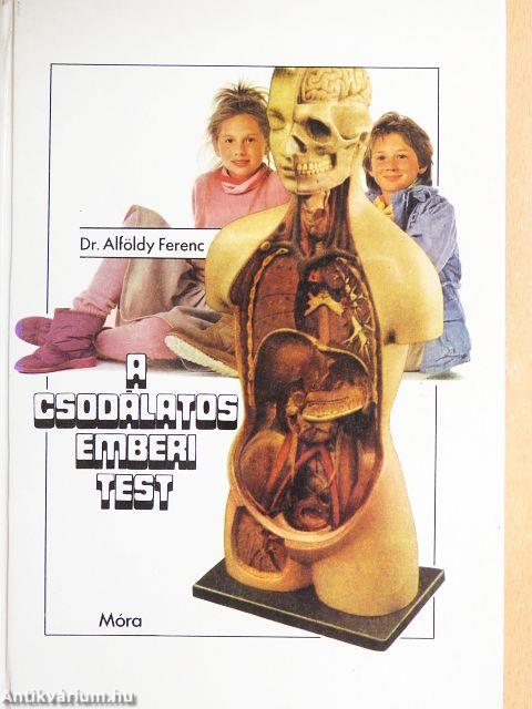 A csodálatos emberi test