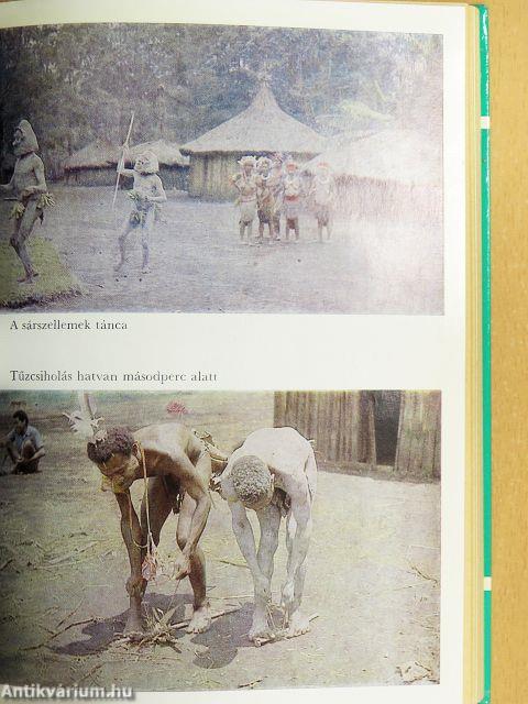 Éjfélkor dőlnek a pálmák