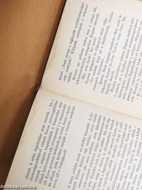 Ki vagy te? - Ábel!