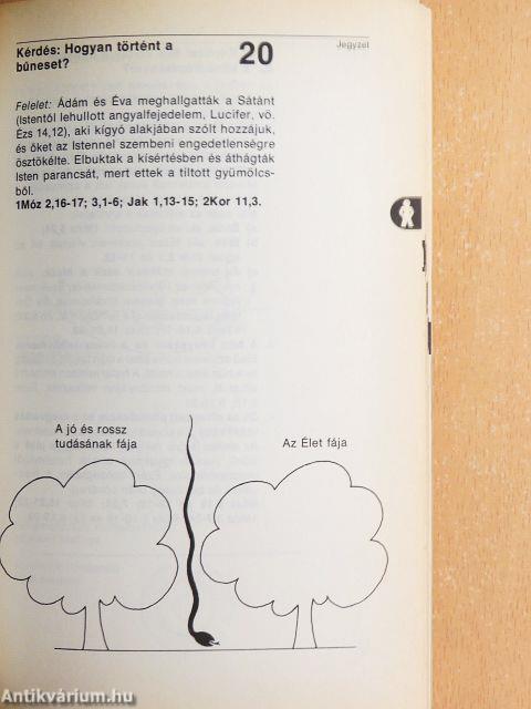 Vezérfonal a Szentírás tanulmányozásához/Megérted-e, amit olvasol?