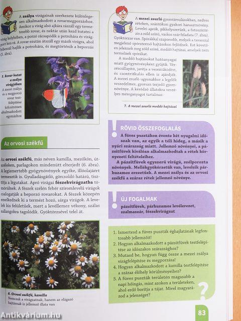 Természetismeret 6.