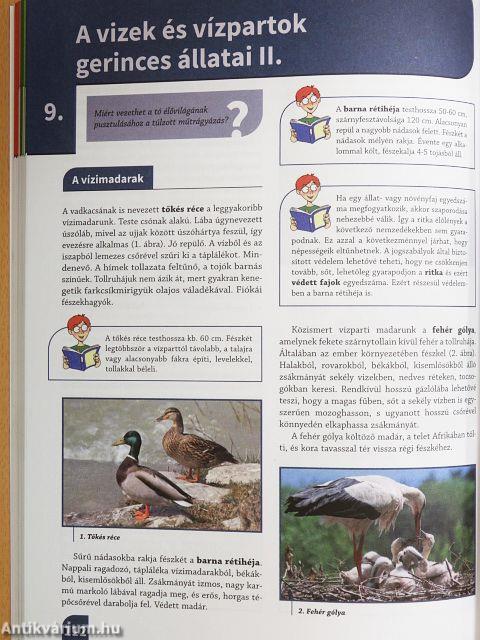 Természetismeret 6.