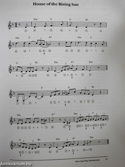 You can play harmonica - CD-vel