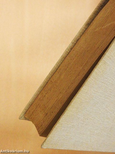 A hatalom őrültjei