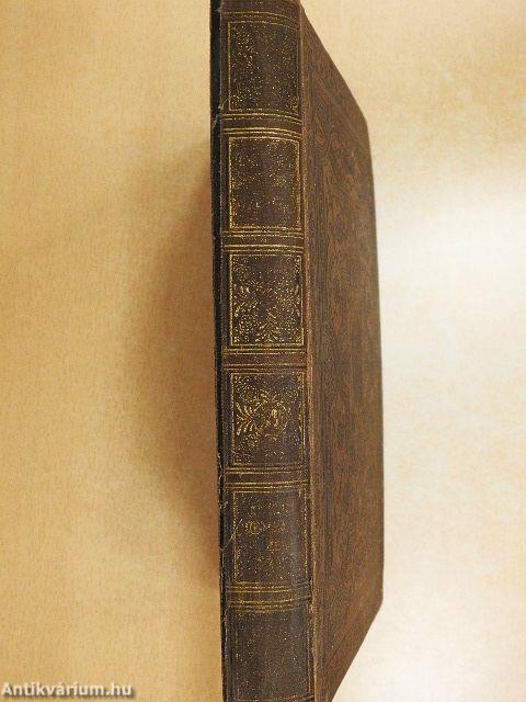 Egész az északi polusig!/A ki a szivét a homlokán hordja