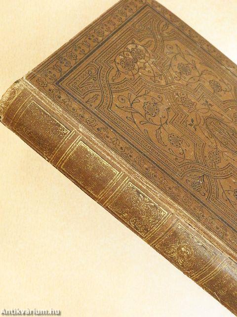 Egész az északi polusig!/A ki a szivét a homlokán hordja