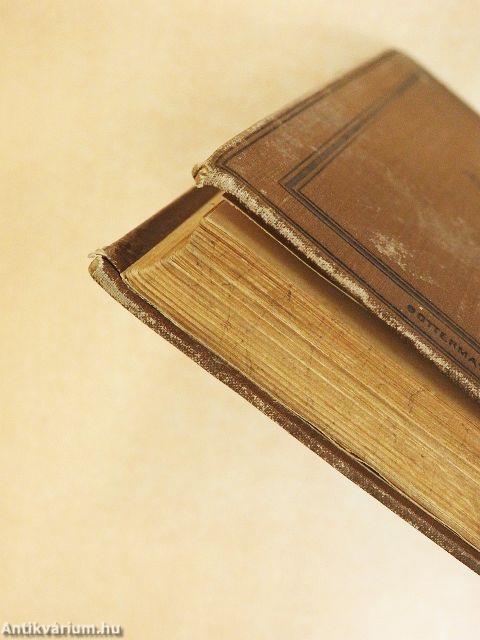 Egész az északi polusig!/A ki a szivét a homlokán hordja