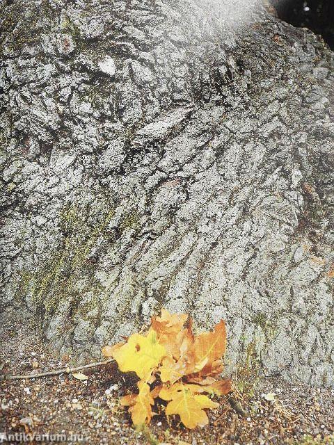 A magyarság nevezetes fái