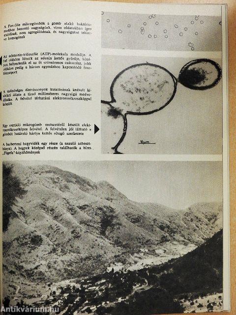 A kvarkoktól a galaktikus társadalmakig