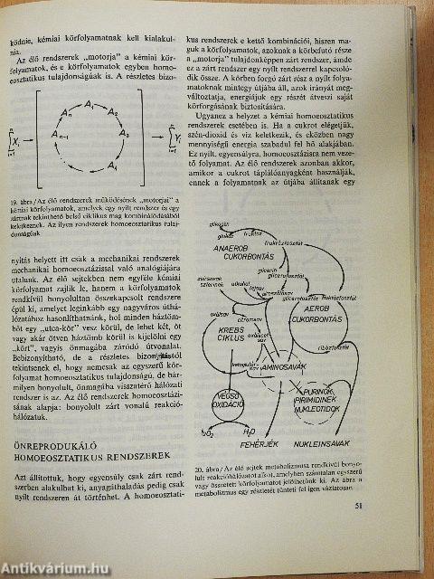 A kvarkoktól a galaktikus társadalmakig