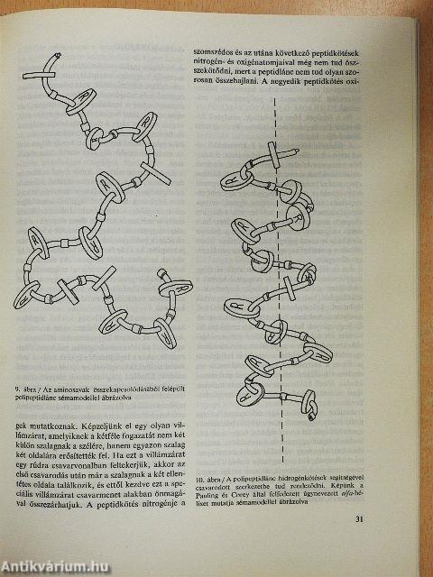 A kvarkoktól a galaktikus társadalmakig