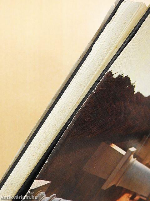 A Felső-Tiszavidék népi építészete