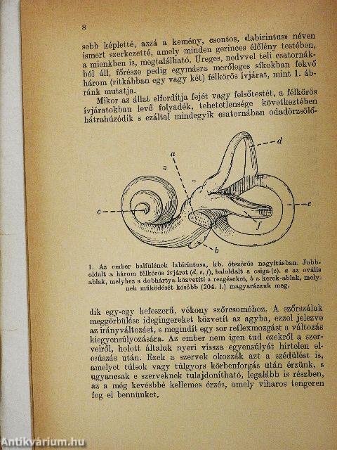 Zene és természettudomány