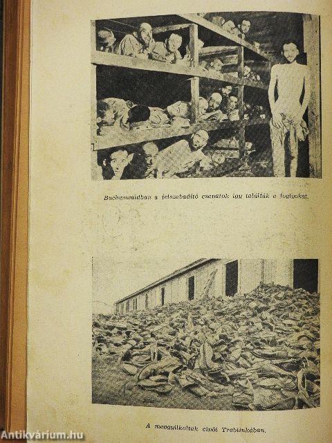 Európai fasizmus és antiszemitizmus