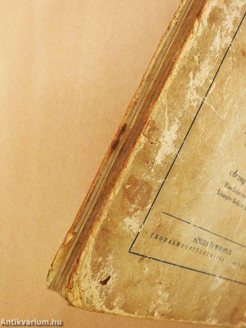 Ali basa meg a kacsa