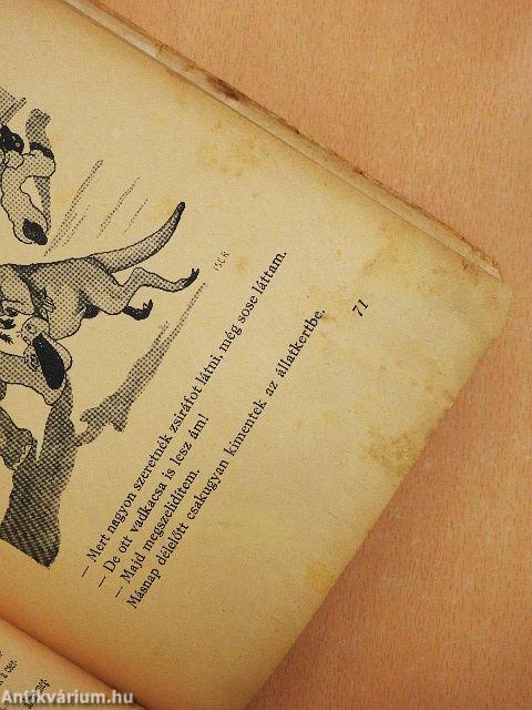 Ali basa meg a kacsa