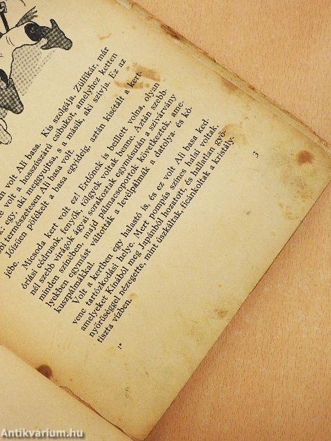 Ali basa meg a kacsa