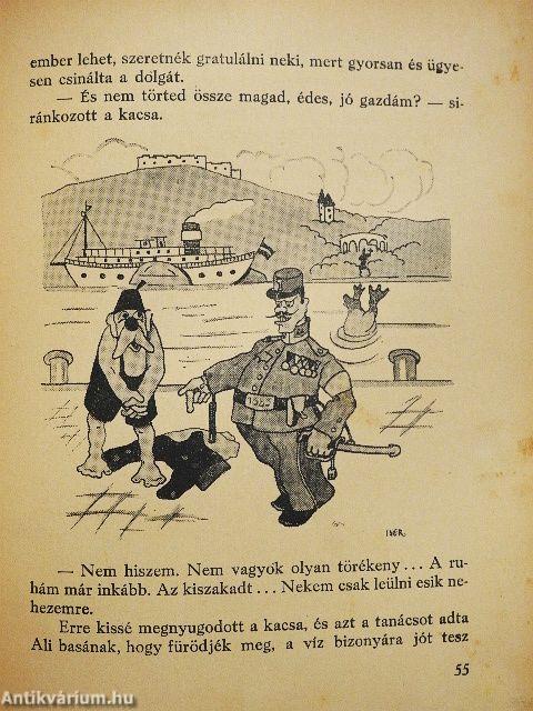 Ali basa meg a kacsa