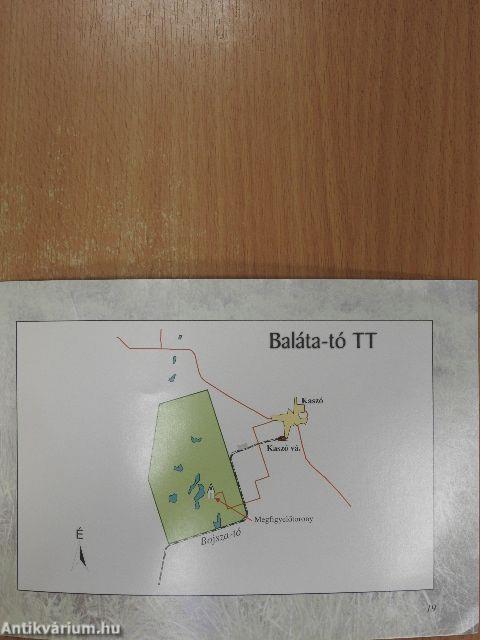 A Baláta-tó