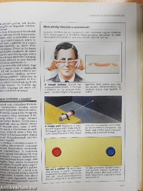 A lélek és az értelem ABC-je