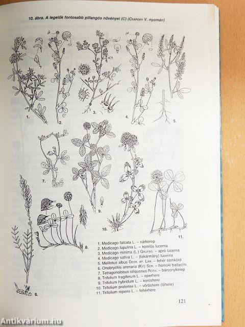 Legelő- és gyepgazdálkodás