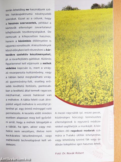 Szántóföldi kultúrák