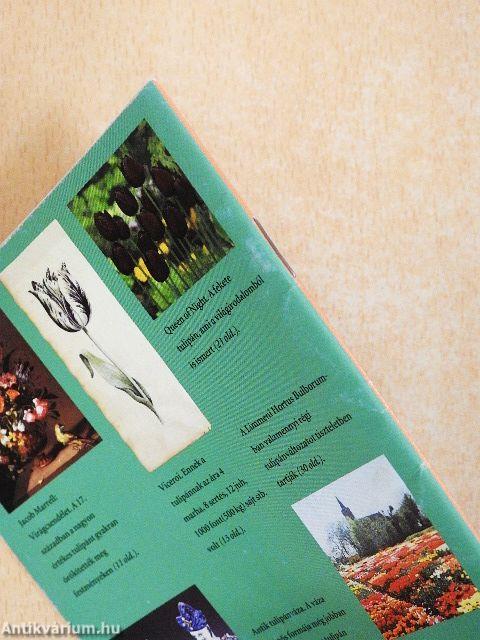 400 éves a tulipán
