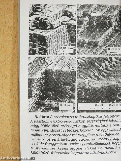 Ha az állatok beszélni tudnának...