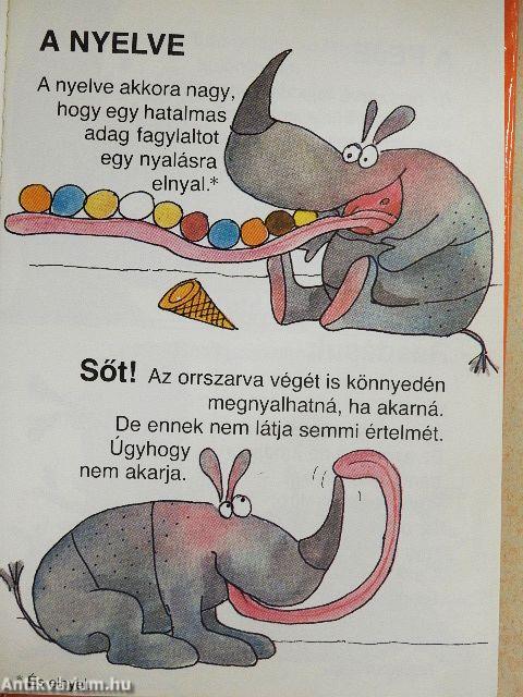 Amit az orrszarvúkról feltétlenül tudni kell