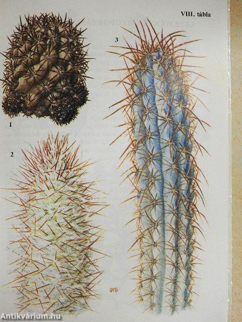 Különös növények